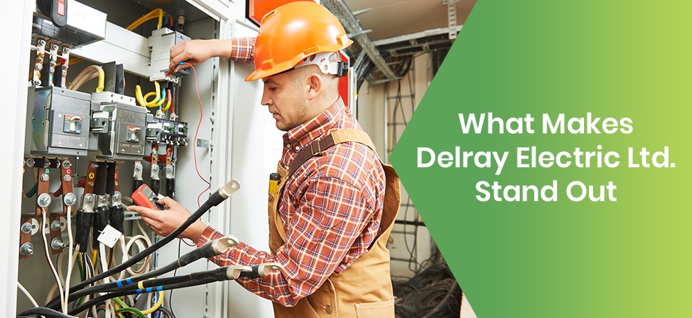 What makes Delray Electric Ltd. stand out